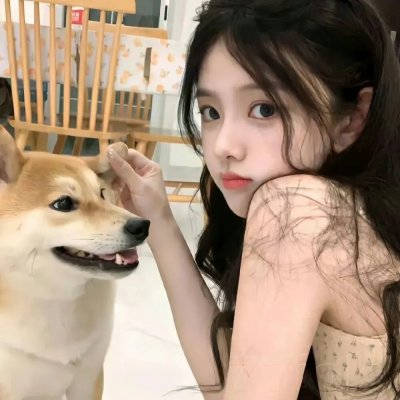 暴龙关吉